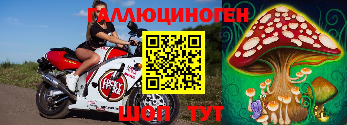 как найти закладки  Вход с VPN  Старый Оскол  Псилоцибиновые грибы Psilocybine cubensis 