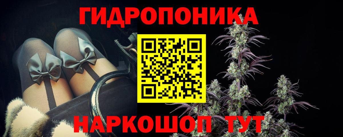 Каннабис планчик  Шишки марихуана индика  Бошки марихуана Bruce Banner  Вход с VPN  Старый Оскол 